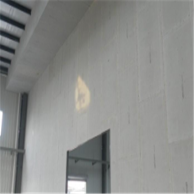 望江宁波ALC板|EPS加气板隔墙与混凝土整浇联接的实验研讨